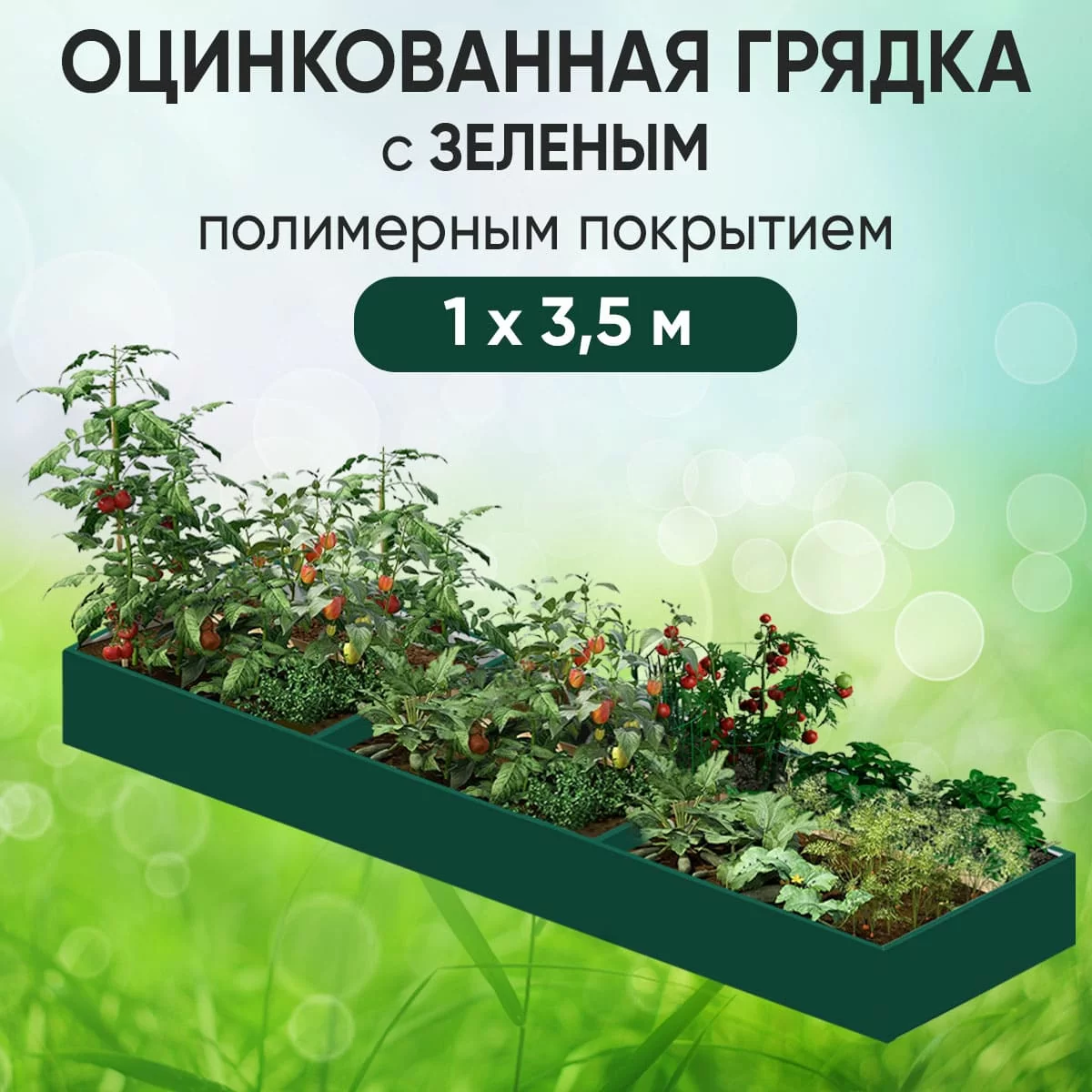 Грядка зеленая (1 х 3,5)