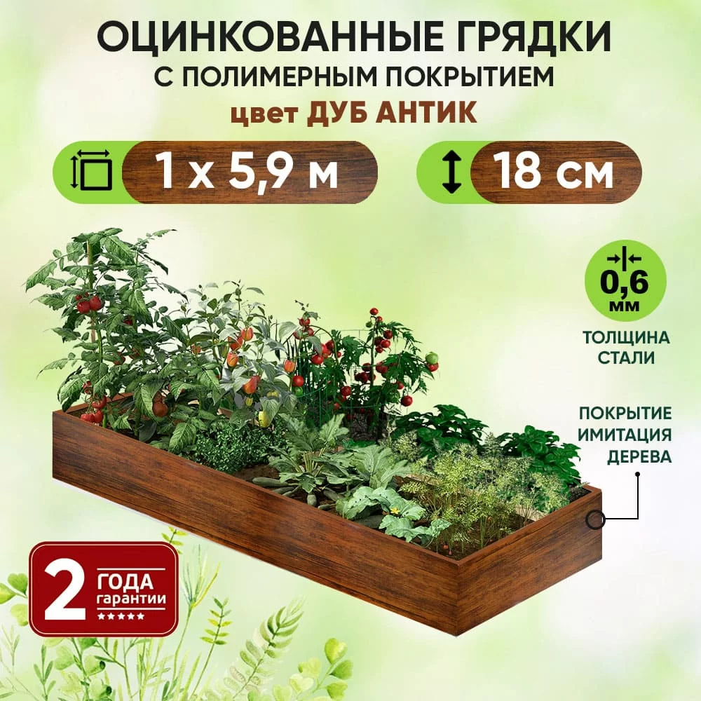 Грядка Дуб Антик (1 х 5,9)