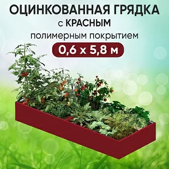 Грядка красная (0,6 х 5,8)